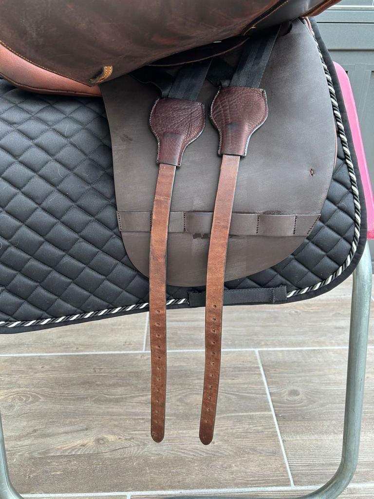 Cordis Latido 18" Chocolate Dressursattel [NEU] - Pferdesattel Shop