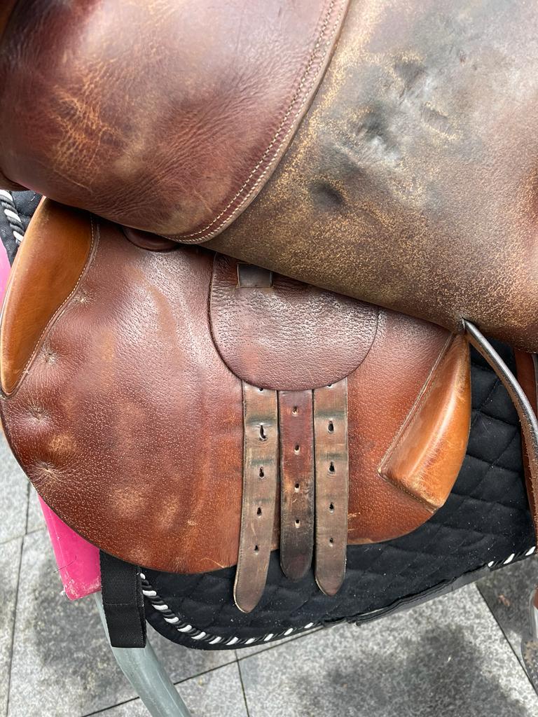 Bruno Delgrange Springsattel 17,5" - Pferdesattel Shop